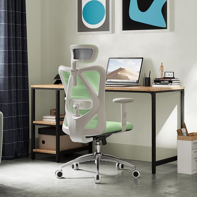 Ergonomic Office Chair